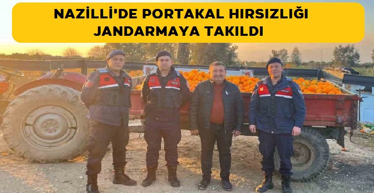 NAZİLLİ'DE PORTAKAL HIRSIZLIĞI JANDARMAYA TAKILDI