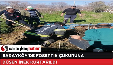 SARAYKÖY'DE FOSEPTİK ÇUKURUNA DÜŞEN İNEK KURTARILDI